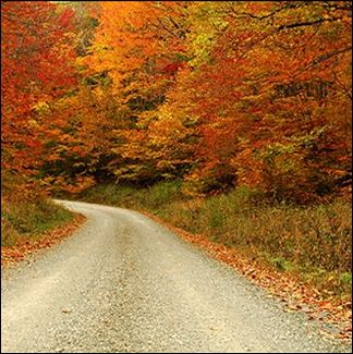 (Autumn Leaves)