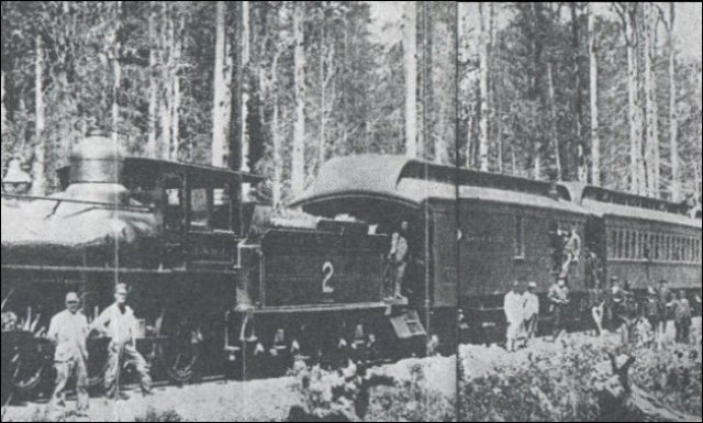 (F&S 1900)