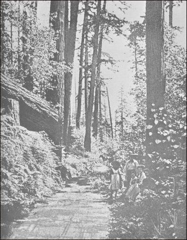 (Heart Lake road near Anacortes, 19th century)