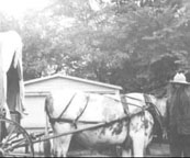 (Territorial Daughters covered wagon)