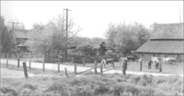 (Osborne Home Place 1947)