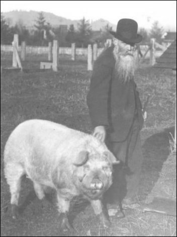 (Dunlop in 1939 with his prized pig)