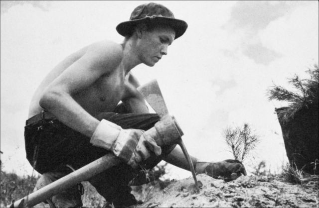 (CCC worker)