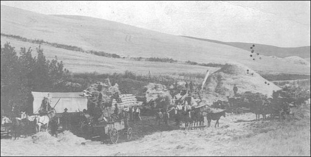 (Threshing machine)