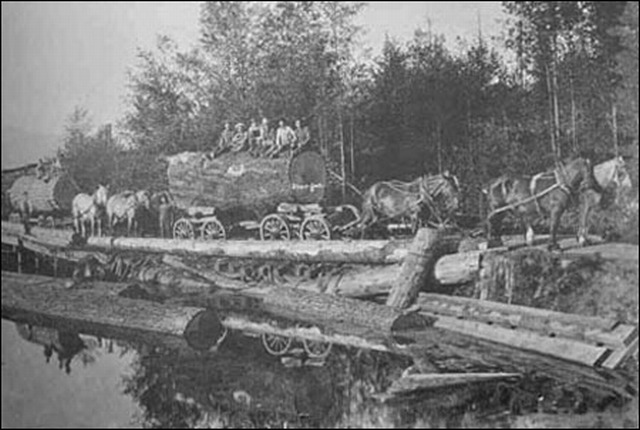 (Log Wagon)