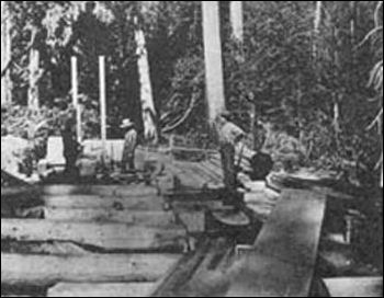 (Pelton water wheel)