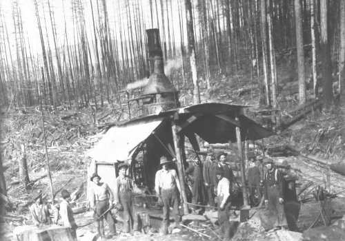 (Hamilton Forest Fire, 1912)