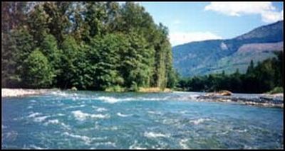 (upper Skagit river)