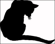 (Black Cat)