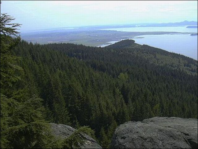 (From the Oyster Dome)